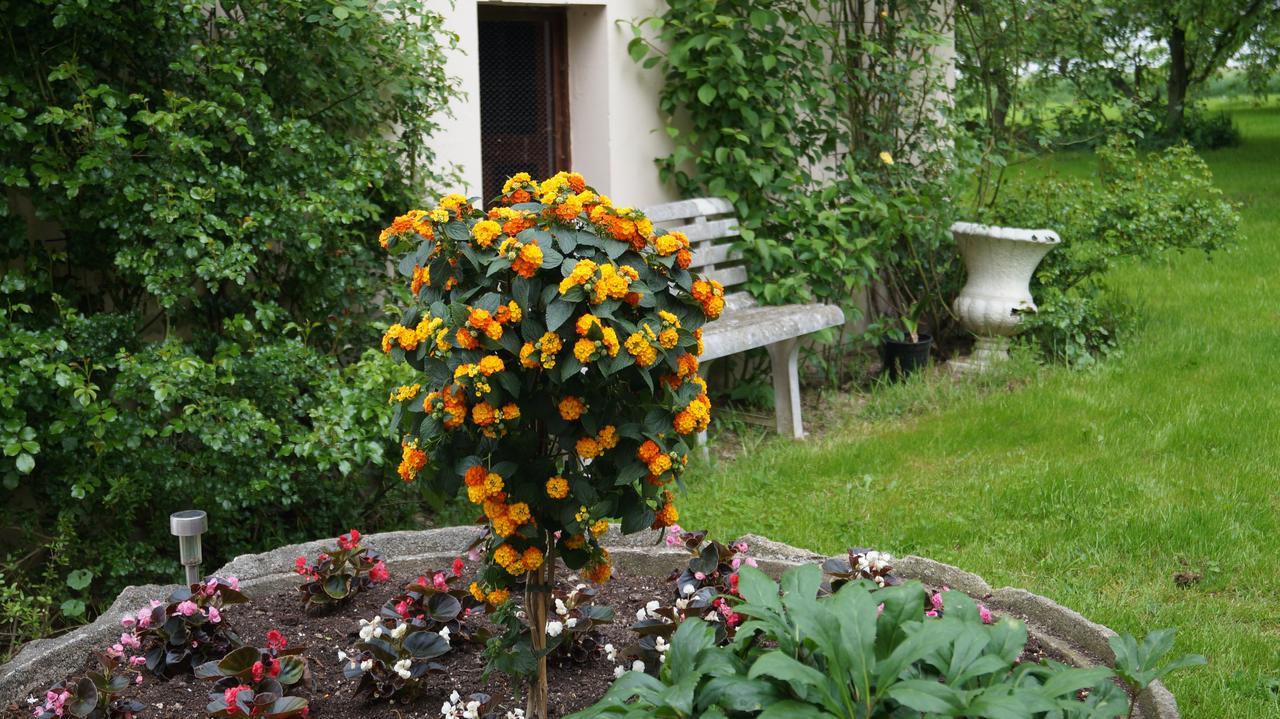 Richzenhainer-Hof Waldheim Eksteriør bilde